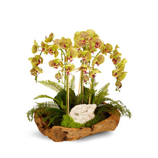 T&C FLORAL COMPANY Faux Silk Orchid Arrangement in Planter