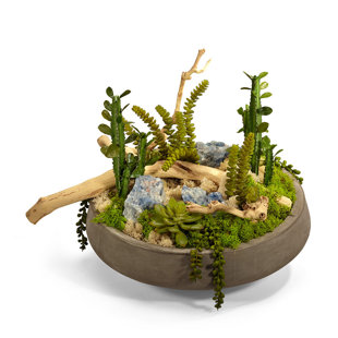 T&C FLORAL COMPANY 15'' Faux Plant in Concrete Pot