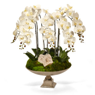 T&C FLORAL COMPANY Orchid Arrangement in Urn