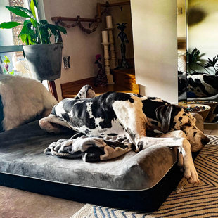 TUCKER MURPHY PET™ Johnone Dog Bed Mat/Pad