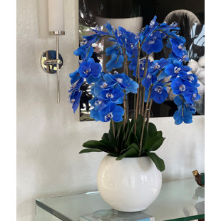 CFA DESIGN GROUP Arrangement in Pot