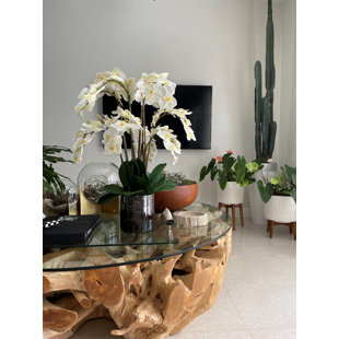 CFA DESIGN GROUP Orchid Arrangement in Vase