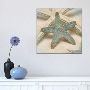 HIGHLAND DUNES 'Coastal Gems III' by John Seba Graphic Art Print on Wrapped Canvas