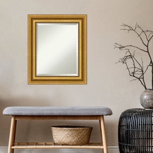 WILLA ARLO™ INTERIORS Warren Flat Wall Mirror