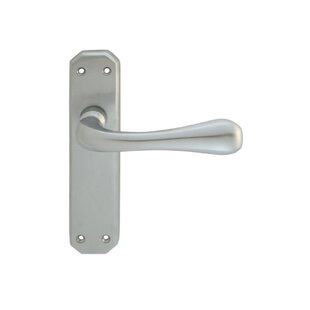 CARLISLE BRASS Eden Latch Door Handle