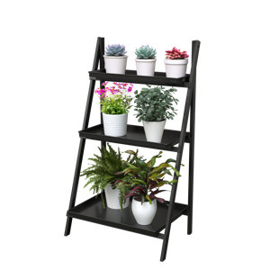 DAKOTA FIELDS Achyut Plant Stand