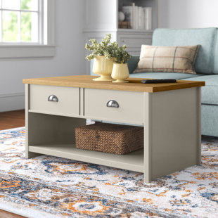 THREE POSTS Kerry Coffee Table with Storage
