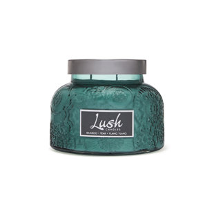 A CHEERFUL CANDLE LLC Bamboo Teak Ylang Ylang Scented Jar Candle