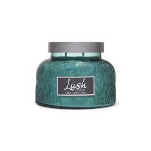A CHEERFUL CANDLE LLC Lush Citrus Lotus Amber Scented Jar Candle