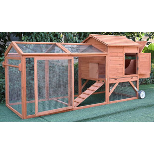 TUCKER MURPHY PET™ Aynsley 19 Square Feet Chicken Coop with Chicken Run For Up To 4 Chickens