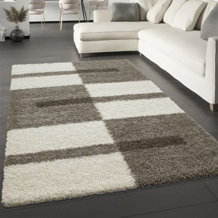 EBERN DESIGNS Shaggy Grey/Cream Rug