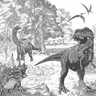 GRAHAM & BROWN 3 m x 2,8 m matte Wandtapete