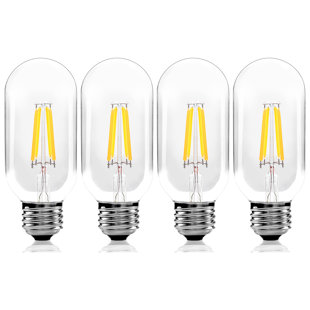 LAMQEE 4 Watt T14 E26/Medium (Standard) 2700K Incandescent Bulb (Set of 4)