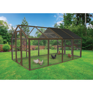 COOPS & FEATHERS 50.2 Square Feet Chicken Coop with Chicken Run For Up To 12 Chickens