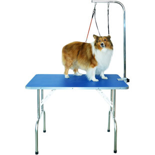 SHELANDY Professional Pet Grooming Table with Double Leashes and Clamp, 31.5x19.5 inches