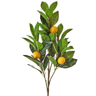 REGENCY INTERNATIONAL Lemon Stem in Vase