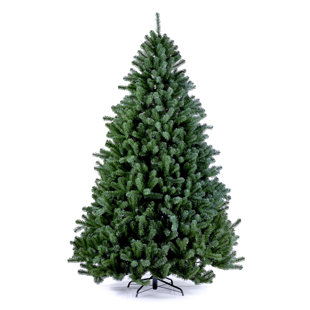 ZIPCODE DESIGN Extra Full Green Spruce Christmas Tree