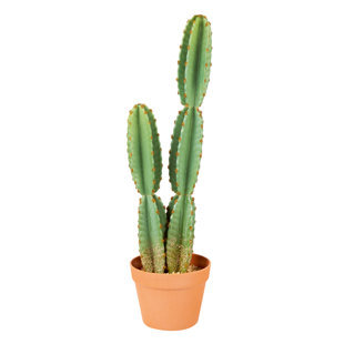 PREMIER DECORATIONS LTD Faux Cactus Plant in Pot