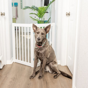 PRIMETIME PETZ Wood Free Standing Pet Gate