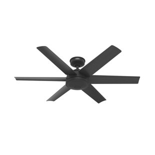 HUNTER FAN 52" Jetty 6 - Blade Outdoor Ceiling Fan with Wall Control