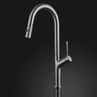 Maestro Bath Palm Pull Out Kitchen Faucet