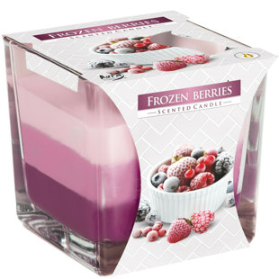 ACORN & ROSE Frozen Berries Scented Jar Candle