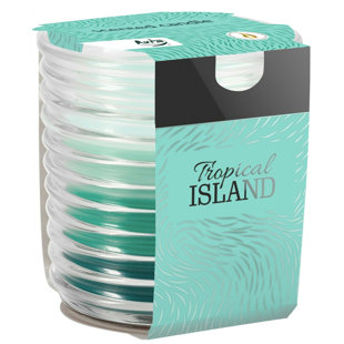 ACORN & ROSE Tropical Island Scented Jar Candle with Glass Holder