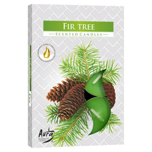 ACORN & ROSE Fir Scented Tealight Candle with Glass Holder