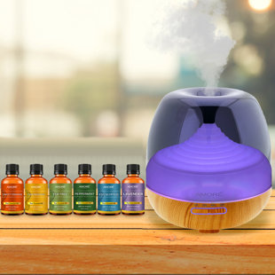 AMORE PARIS Plug-in Essential Oil Diffusers (Set of 7)