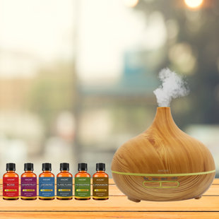 AMORE PARIS Plug-in Essential Oil Diffusers (Set of 7)