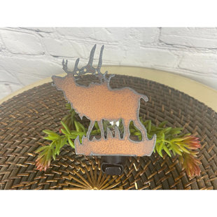 RUSTIC EXPRESSIONS ART Metal Night Light