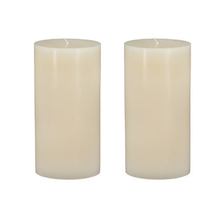 SEASONAL ABODE Unscented Wax Melt (Set of 2)