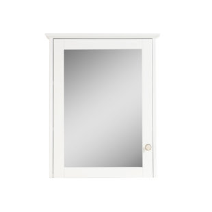 FORCLOVER Wall Mounted Surface Mount 24" W x 30" H Mirror Cabinet With Shelves