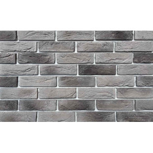 FACEABLES Aura 2.25'' x 8.5'' Beveled Cement Subway Tile