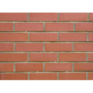 FACEABLES Smooth 8.5'' x 2.55'' Beveled Terra Cotta Wall & Floor Tile