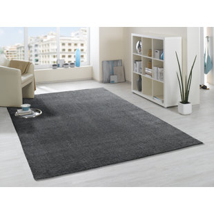 BRAYDEN STUDIO Solid Colour Machine Woven Dark Grey Area Rug