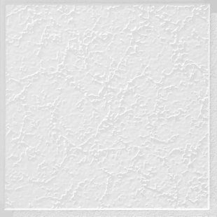 ARMSTRONG WORLD INDUSTRIES Grenoble 1 ft. x 1 ft. Drop-In Mineral Fiber Ceiling Tile in White (Set of 40)