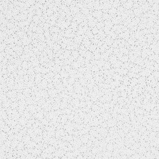 ARMSTRONG WORLD INDUSTRIES RANDOM TEXTURED 2 ft. x 4 ft. Drop-In Mineral Fiber Ceiling Tile in White (Set of 10)