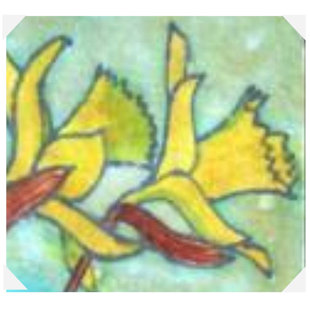 LUCAS-HILL HOME ARTS Coaster (Set of 4)