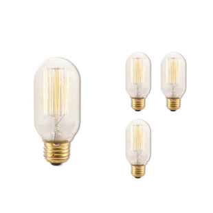 BULBRITE INDUSTRIES 40 Watt T14 E26/Medium (Standard) Dimmable 2200K Incandescent Bulb (Set of 4)
