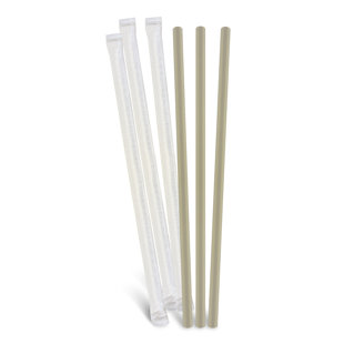 IBAMBO Disposable Bamboo Fiber Straws (Set of 100)