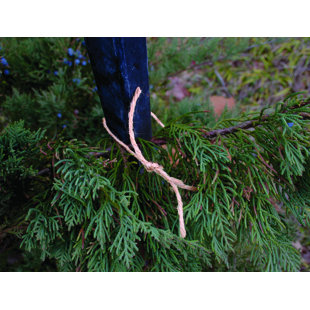 DALEN PRODUCTS Jute Twine