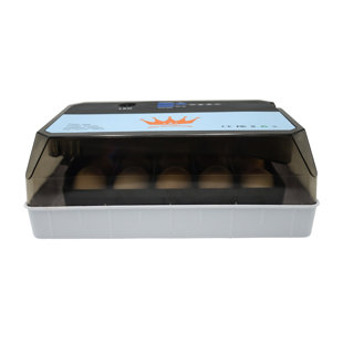 HUBESTSELLER 56 Eggs Chicken Egg Incubator