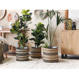 LONGSHORE TIDES 3-tlg. Übertopf-Set Sparta aus Seegras