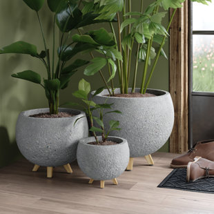 TRENT AUSTIN DESIGN® Mancilla Handmade Concrete Indoor Pot Planter