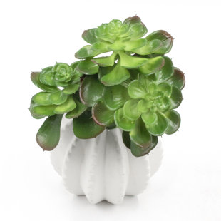PRIMRUE 10" Faux Succulent Plant In Stone Vase