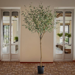 NATIONAL OUTDOOR LIVING 96'' Faux Olive Tree Tree in Pot