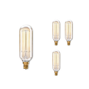 BULBRITE INDUSTRIES 40 Watt T8 E12/Candelabra Dimmable 2200K Incandescent Bulb (Set of 4)