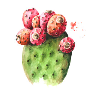 GRACIE OAKS Prickly Pear Cactus - Wrapped Canvas Print