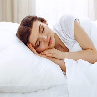 Aircomfort Budget Range Non-Woven Cover Hypoallergenic Bounce Back Hollowfibre Firm Support Pillow (Set of 4)